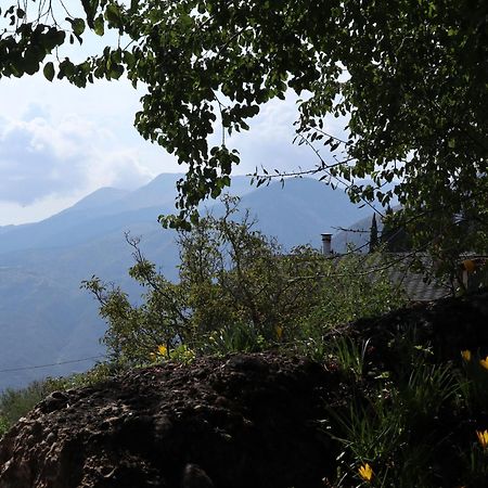 Μικρή Ζήρεια Ενοικιαζόμενη Κατοικία Synikia Mesi Trikalon Ngoại thất bức ảnh