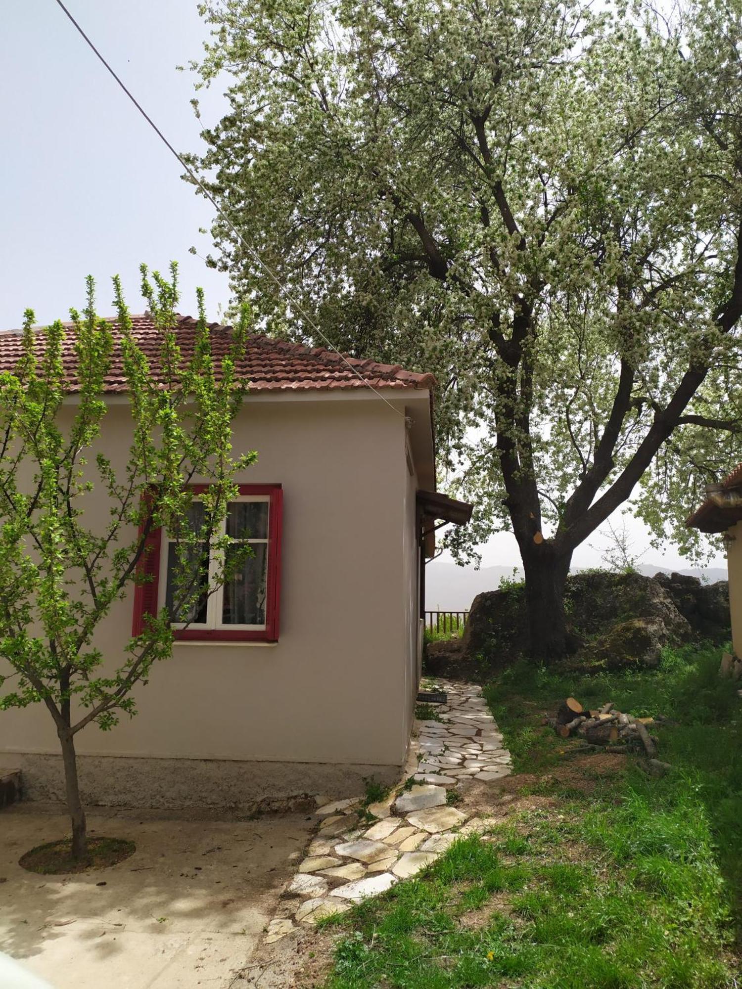 Μικρή Ζήρεια Ενοικιαζόμενη Κατοικία Synikia Mesi Trikalon Ngoại thất bức ảnh